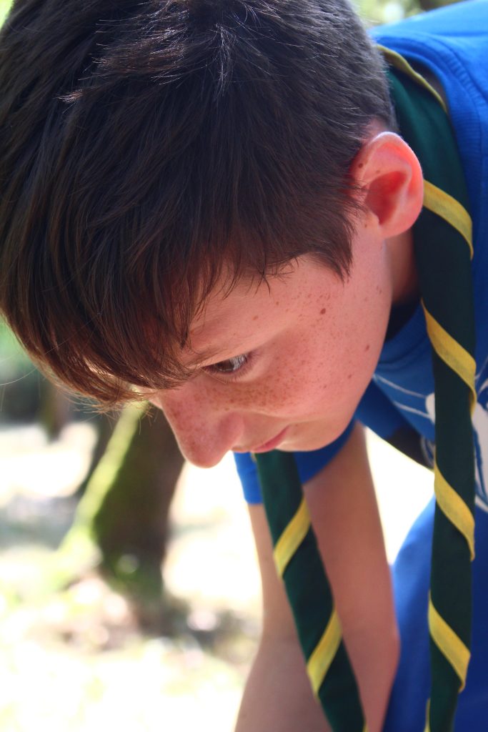 gallery_img